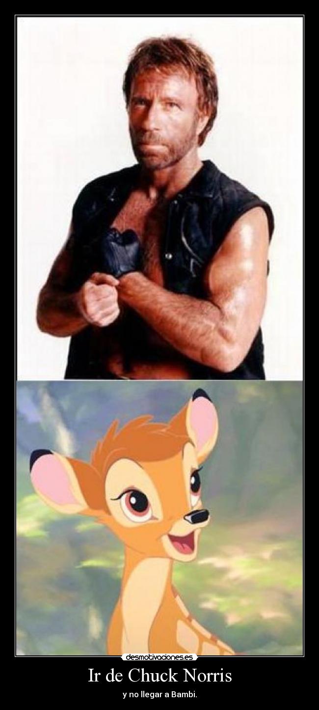 Ir de Chuck Norris - y no llegar a Bambi.