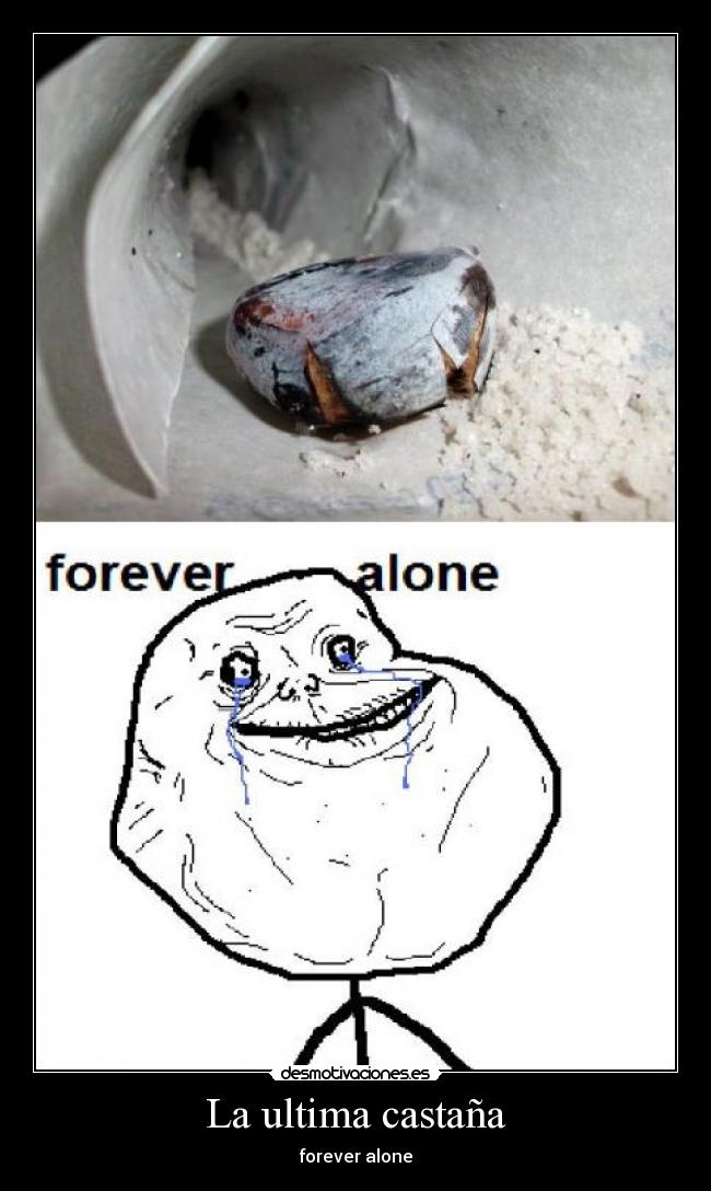La ultima castaña - forever alone
