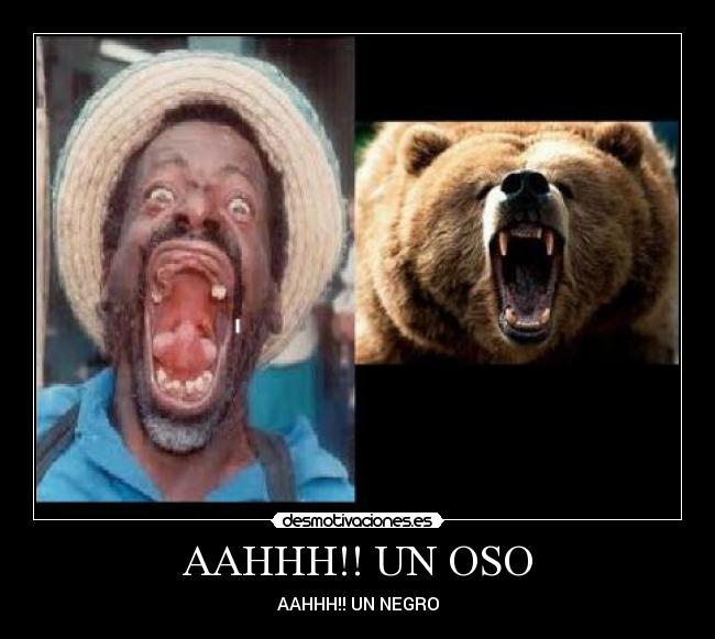 AAHHH!! UN OSO -