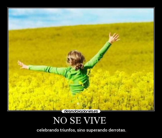 NO SE VIVE  - 