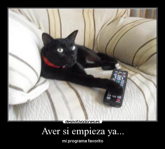 Aver si empieza ya... -