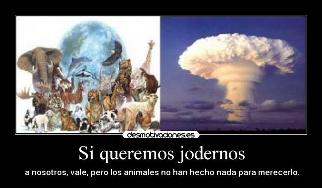 Si queremos jodernos - a nosotros, vale, pero los animales no han hecho nada para merecerlo.