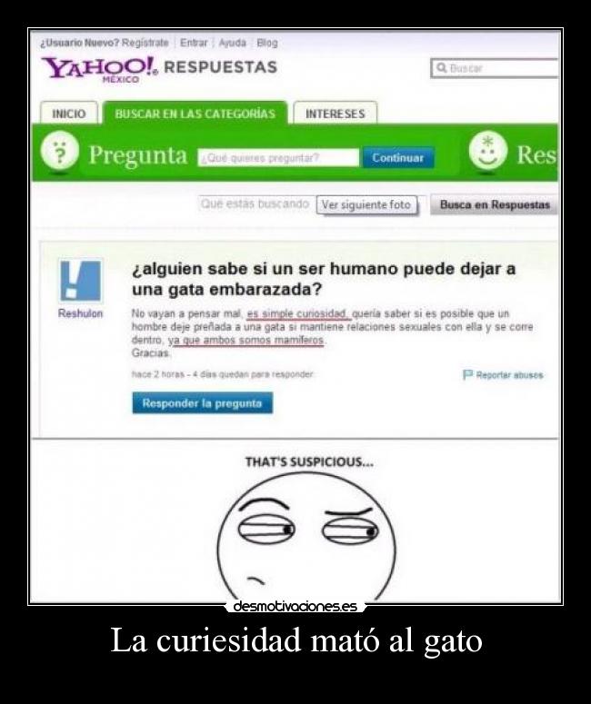 carteles gatos desmotivaciones