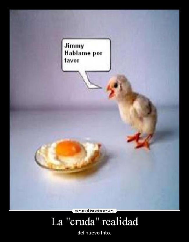 La cruda realidad - del huevo frito.