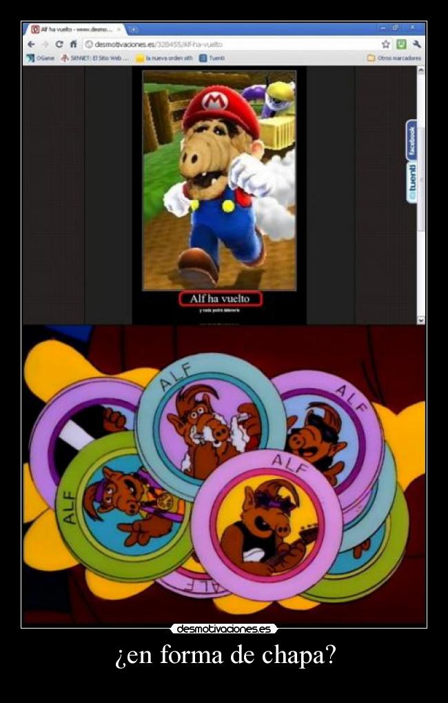 ¿en forma de chapa? - 