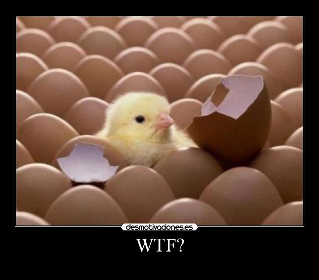 WTF? -