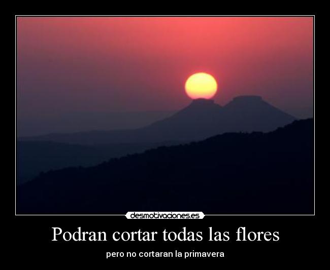 Podran cortar todas las flores - pero no cortaran la primavera