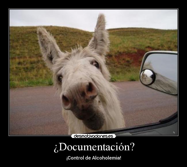 ¿Documentación? - ¡Control de Alcoholemia!