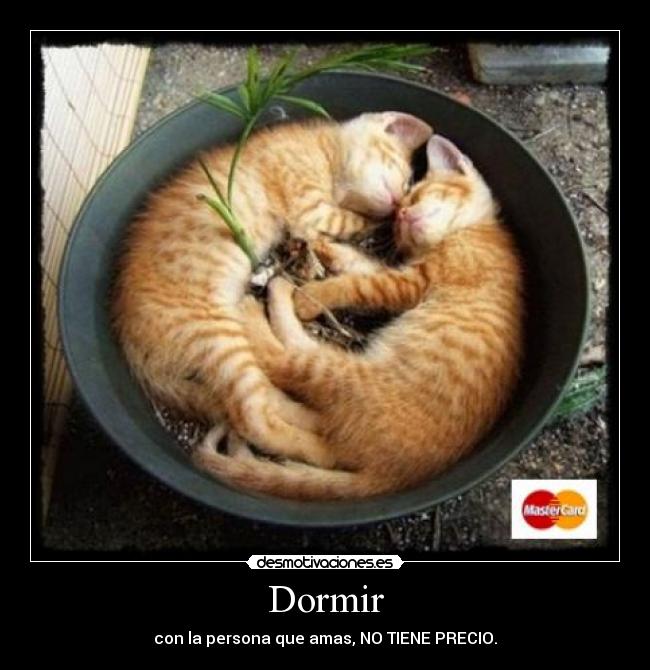 Dormir - 