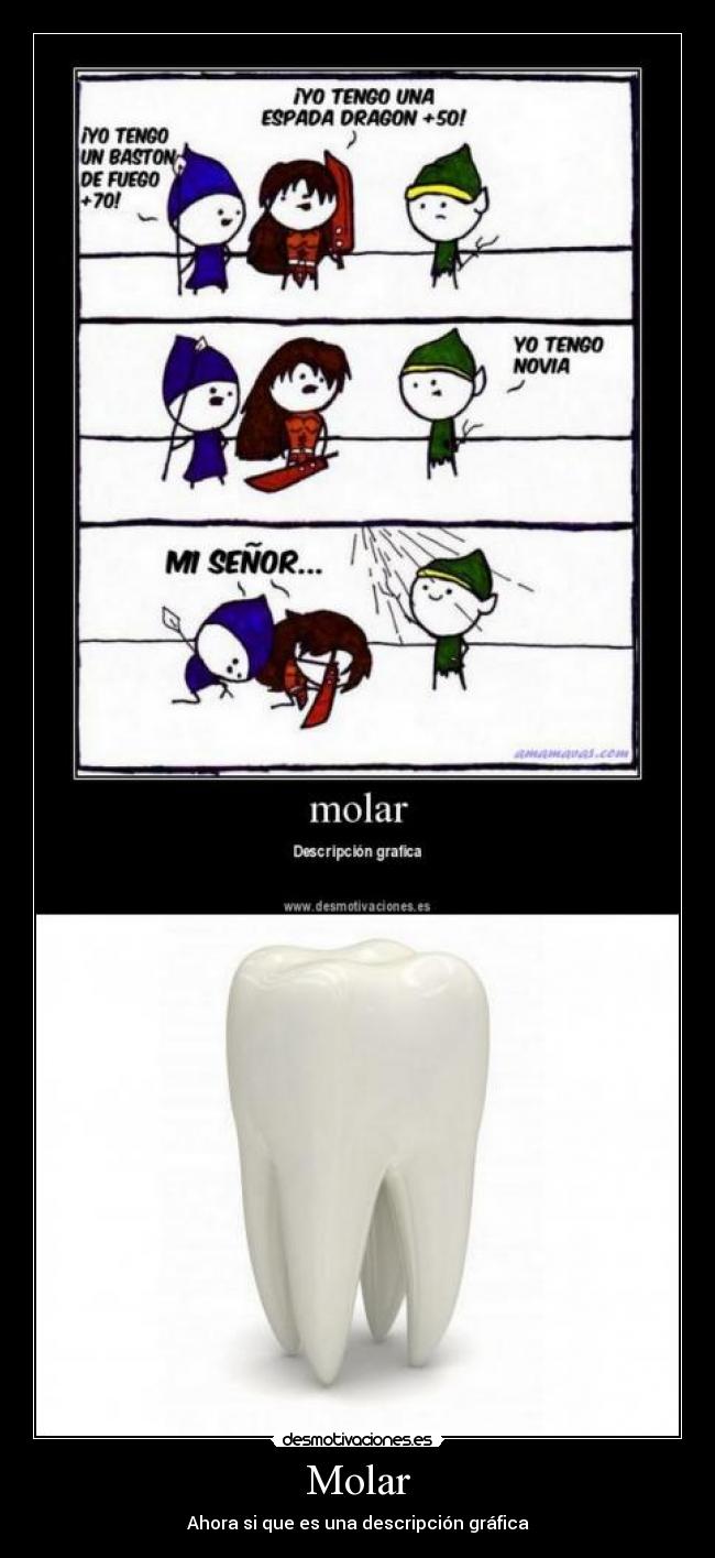 Molar -