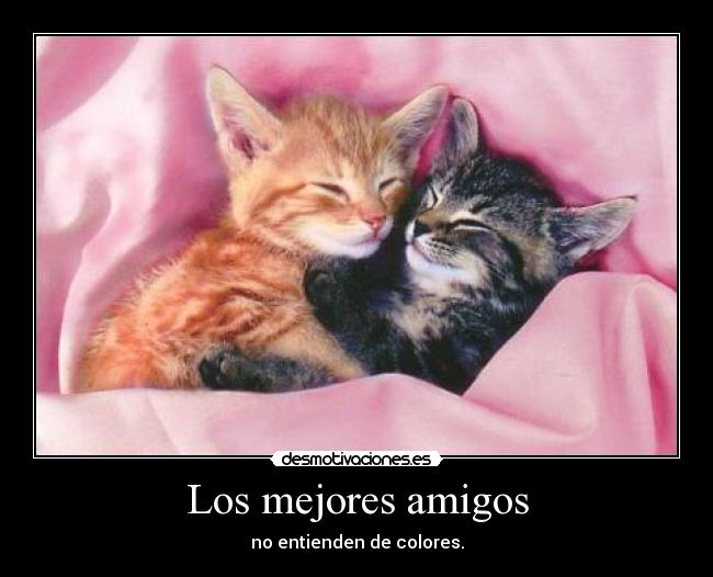 Los mejores amigos - 