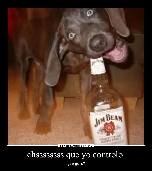 chssssssss que yo controlo -