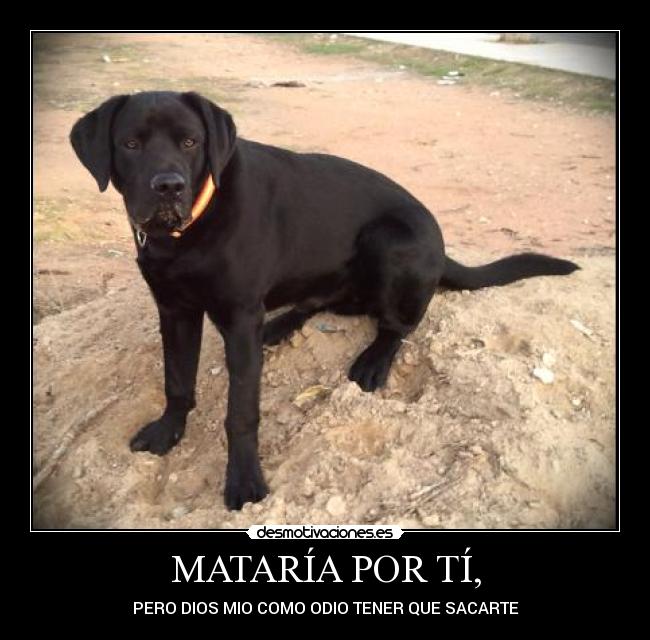 MATARÍA POR TÍ, - PERO DIOS MIO COMO ODIO TENER QUE SACARTE
