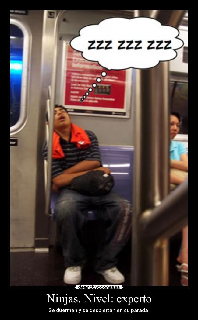 Ninjas. Nivel: experto - 