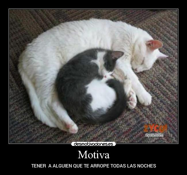Motiva - 