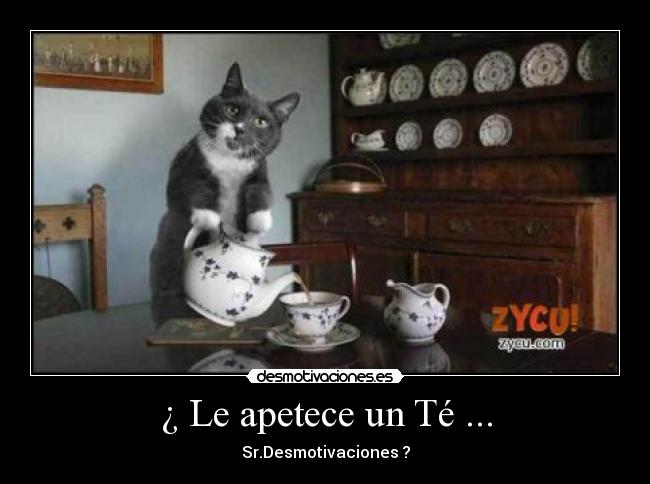 ¿ Le apetece un Té ... - 