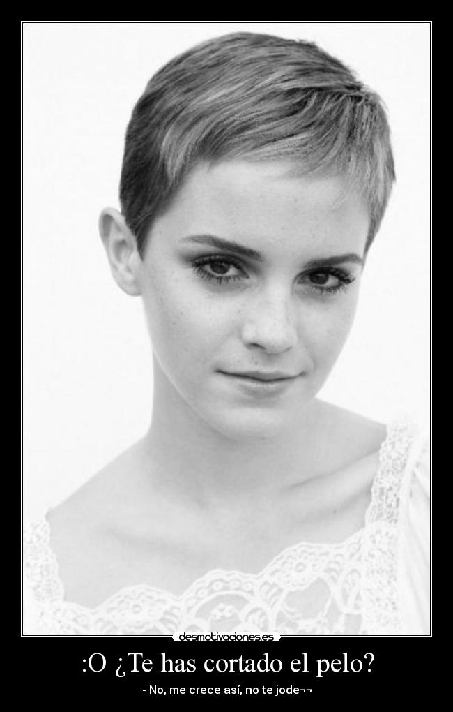:O ¿Te has cortado el pelo? - 