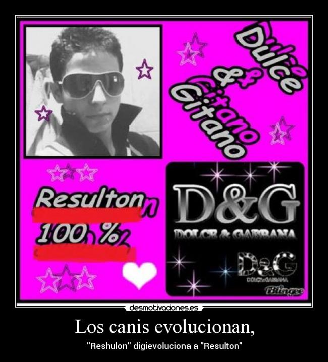Los canis evolucionan, -