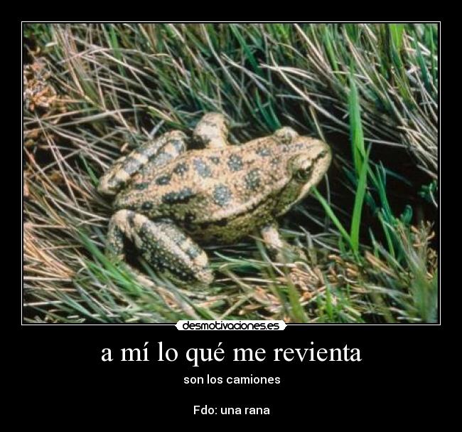 a mí lo qué me revienta - son los camiones
Fdo: una rana