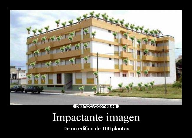 Impactante imagen - De un edifico de 100 plantas