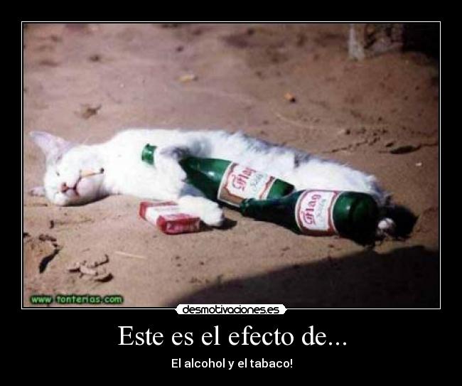 Este es el efecto de... - El alcohol y el tabaco!
