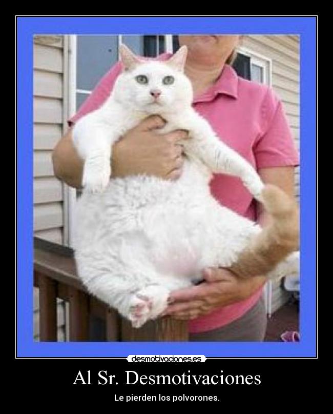 carteles desmotivaciones polvorones demotivaciones desmotivaciones