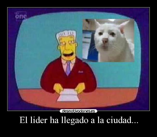 El lider ha llegado a la ciudad... - 
