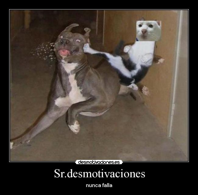 Sr.desmotivaciones -