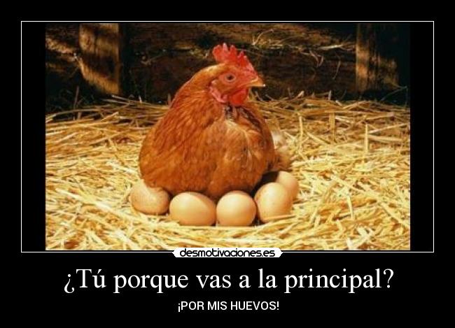 ¿Tú porque vas a la principal? -
