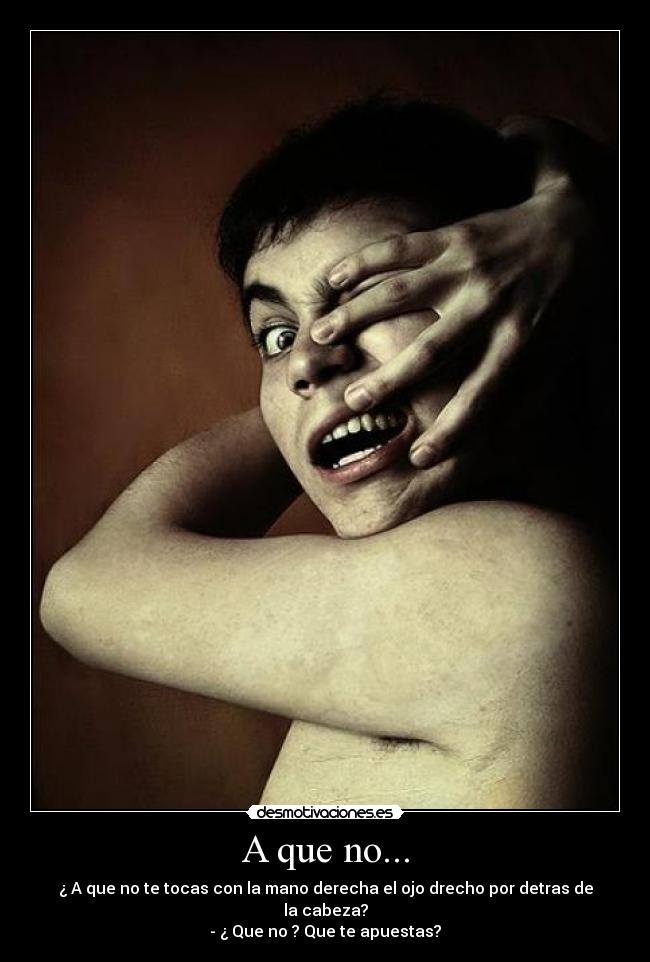 carteles berolas desmotivaciones