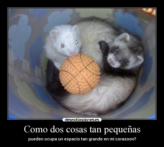 Como dos cosas tan pequeñas -