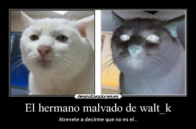 El hermano malvado de walt_k -