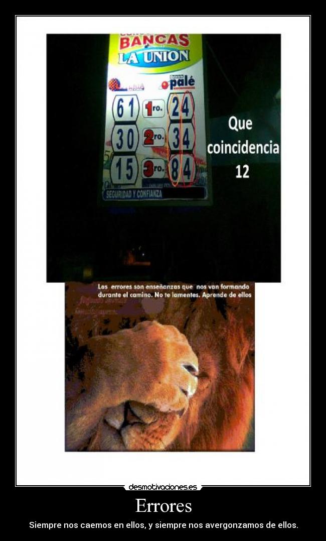 Errores - Siempre nos caemos en ellos, y siempre nos avergonzamos de ellos.
