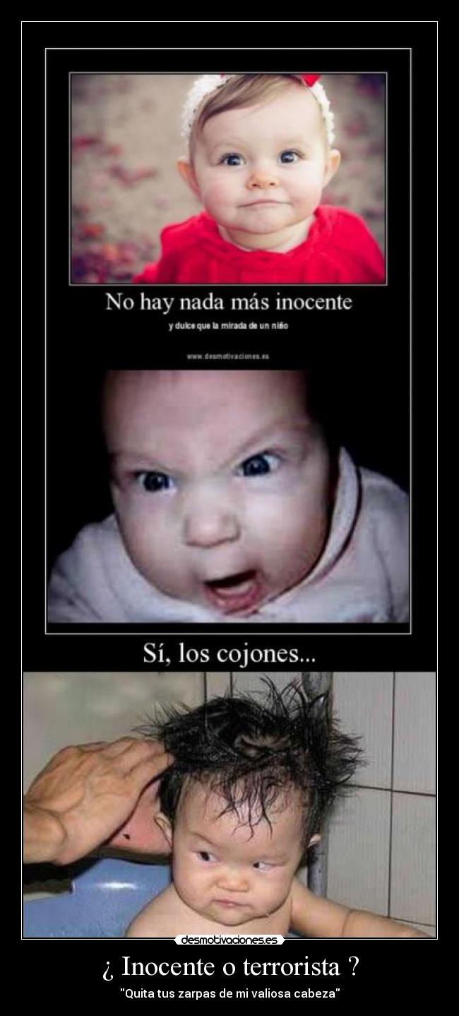 ¿ Inocente o terrorista ? - 