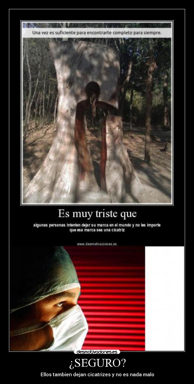 ¿SEGURO? - 