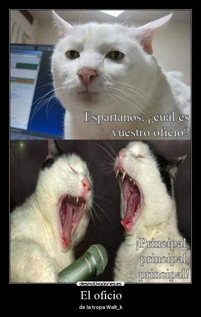 El oficio -