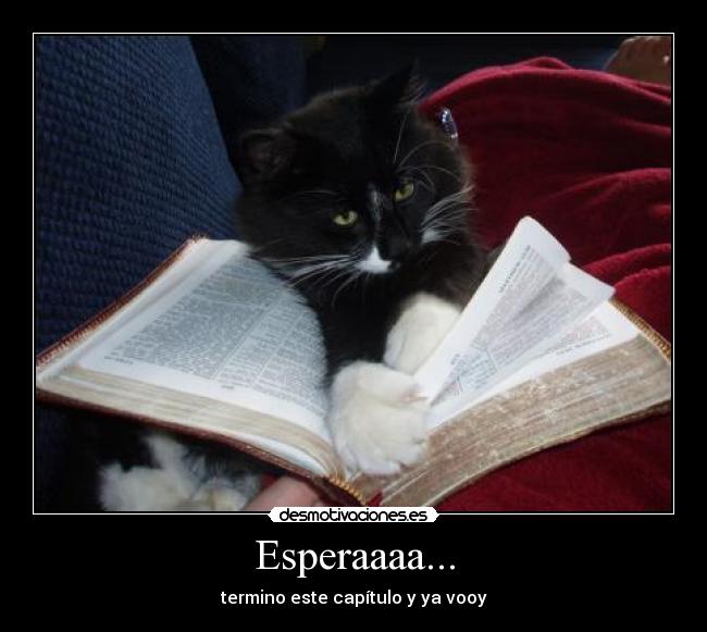Esperaaaa... - termino este capítulo y ya vooy