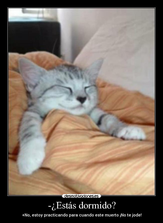 -¿Estás dormido? -