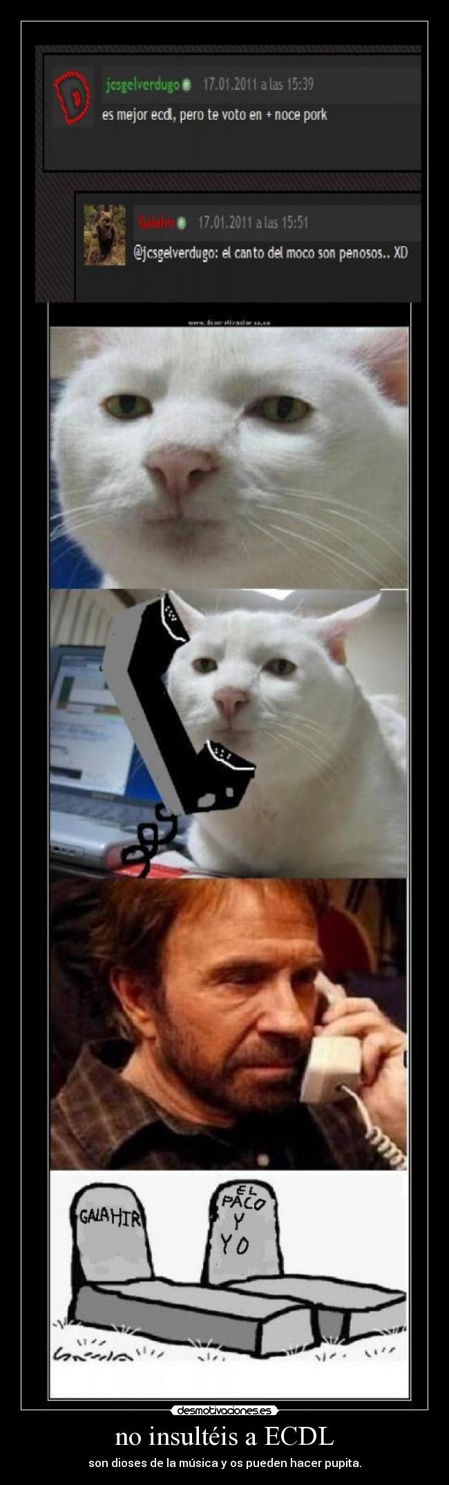 no insultéis a ECDL - 