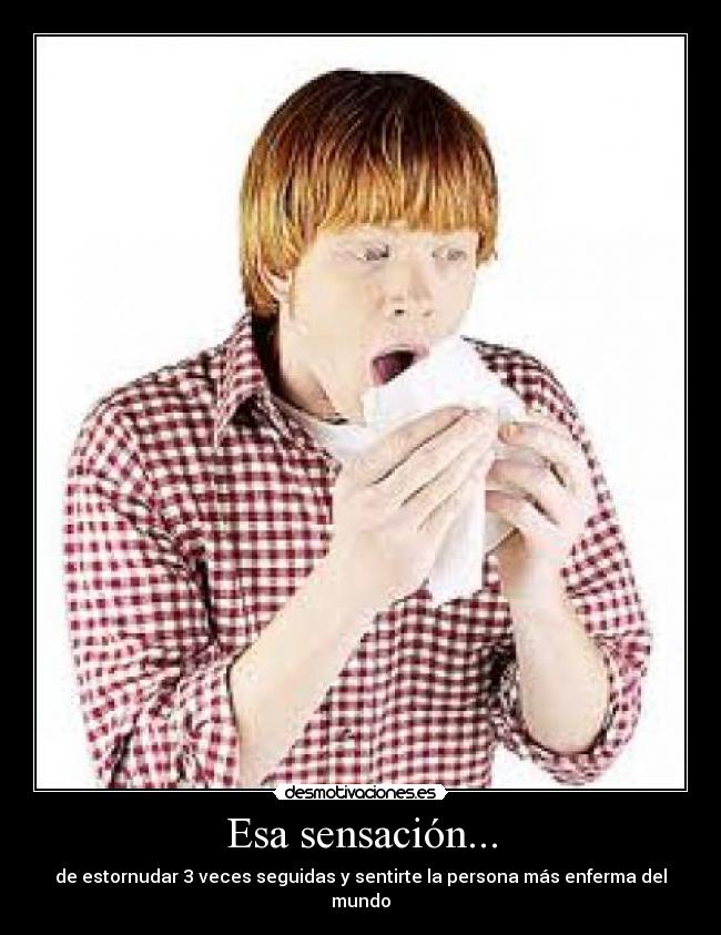 Esa sensación... - de estornudar 3 veces seguidas y sentirte la persona más enferma del mundo