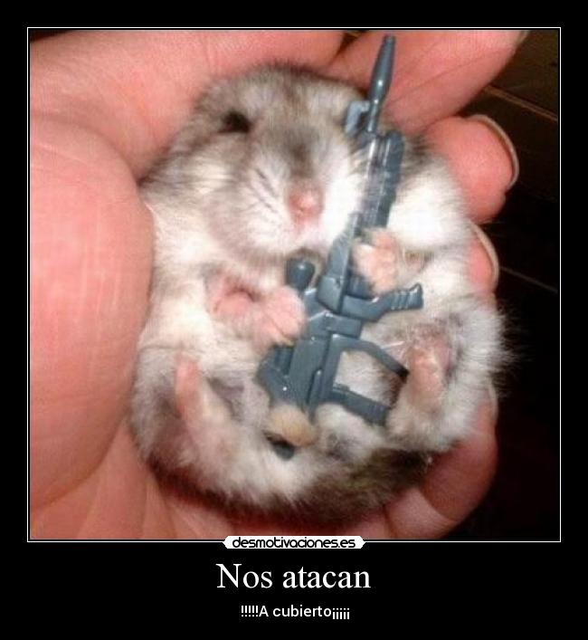Nos atacan - !!!!!A cubierto¡¡¡¡¡