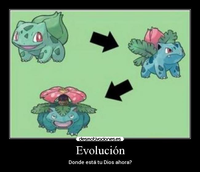 Evolución - 