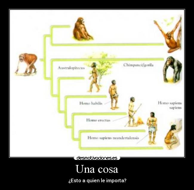 Una cosa - ¿Esto a quien le importa?