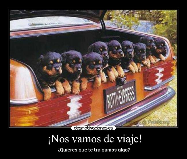 ¡Nos vamos de viaje! - ¿Quieres que te traigamos algo?