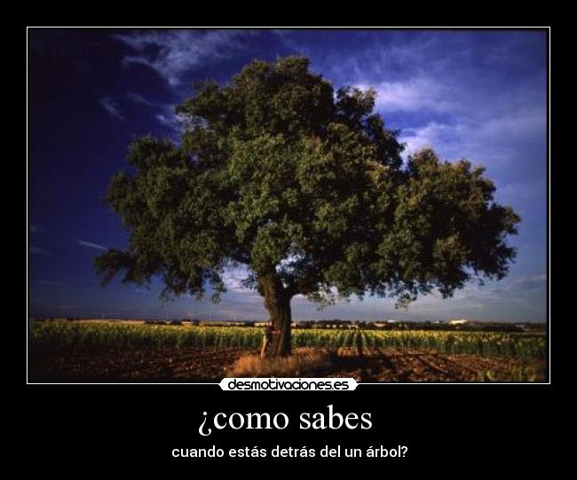 ¿como sabes  - 