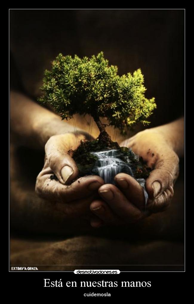 Está en nuestras manos - cuidemosla