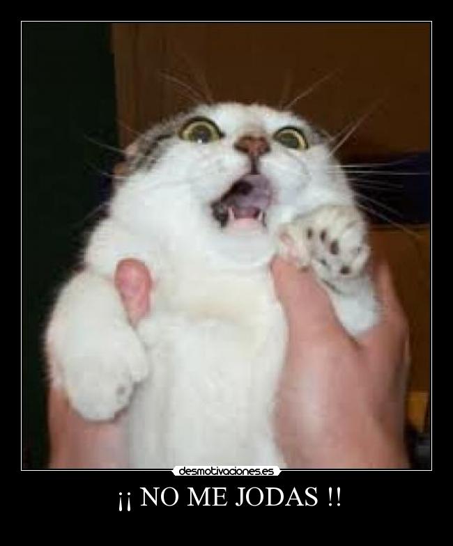 ¡¡ NO ME JODAS !! - 