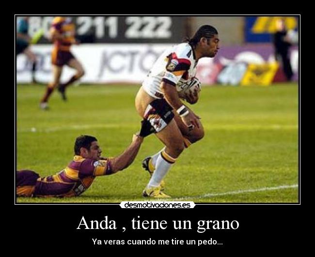 Anda , tiene un grano - Ya veras cuando me tire un pedo...