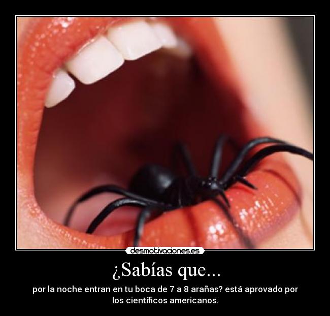 ¿Sabías que... - por la noche entran en tu boca de 7 a 8 arañas? está aprovado por
los científicos americanos.