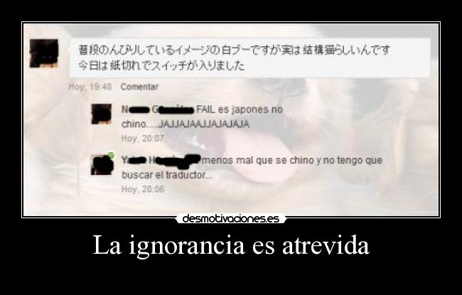 La ignorancia es atrevida -
